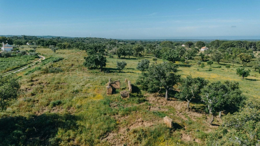 Terreno para Venda em Melides Foto 12