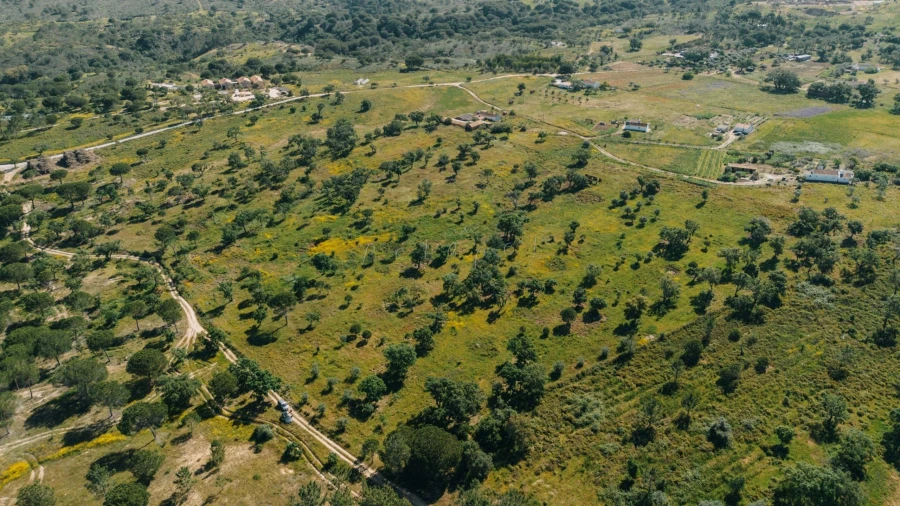 Terreno para Venda em Melides Foto 13