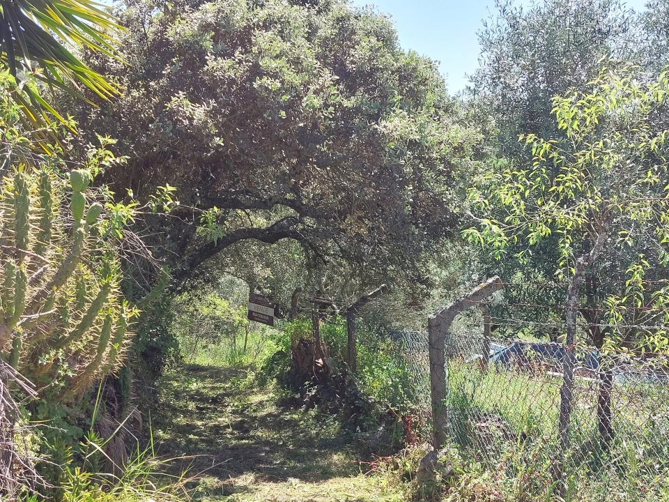 Terreno Agricola ou Rústico para Venda em Assentiz Foto 4