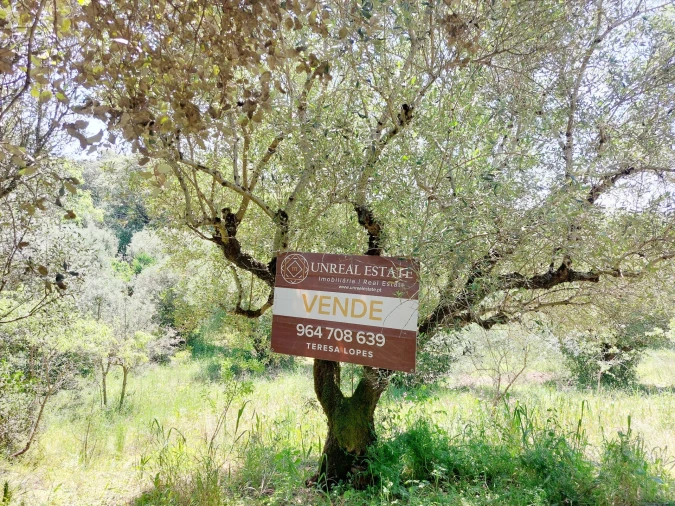 Terreno Agricola ou Rústico para Venda em Assentiz Foto 1