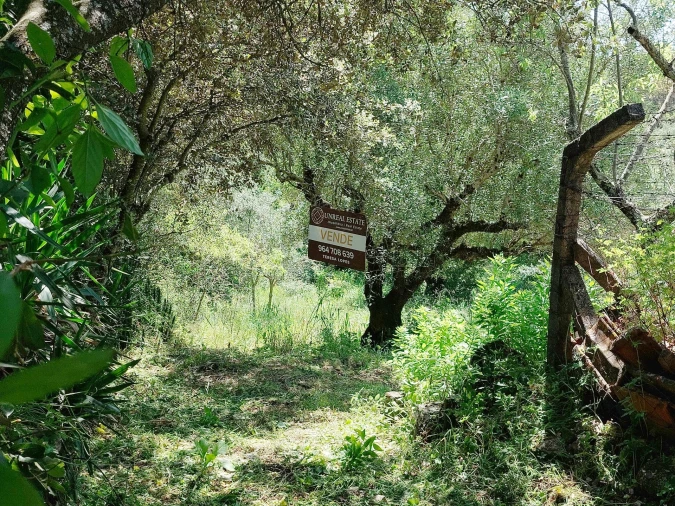 Terreno Agricola ou Rústico para Venda em Assentiz Foto 2