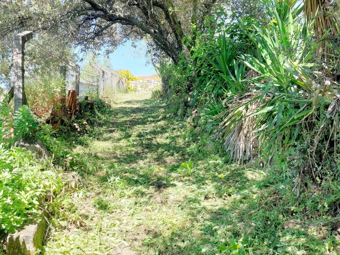 Terreno Agricola ou Rústico para Venda em Assentiz Foto 5