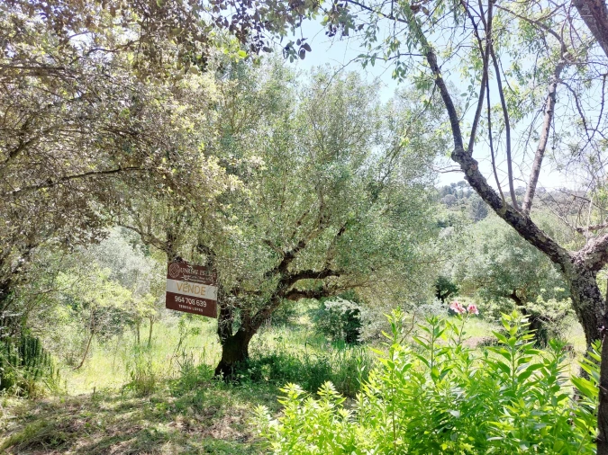 Terreno Agricola ou Rústico para Venda em Assentiz Foto 3