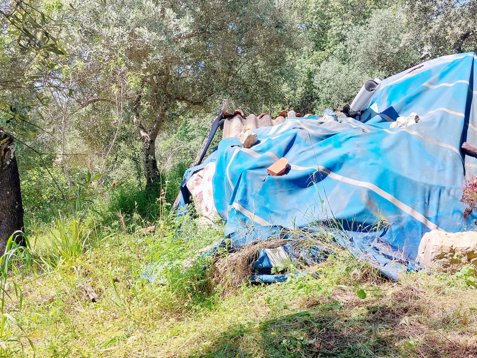 Terreno Agricola ou Rústico para Venda em Assentiz Foto 7