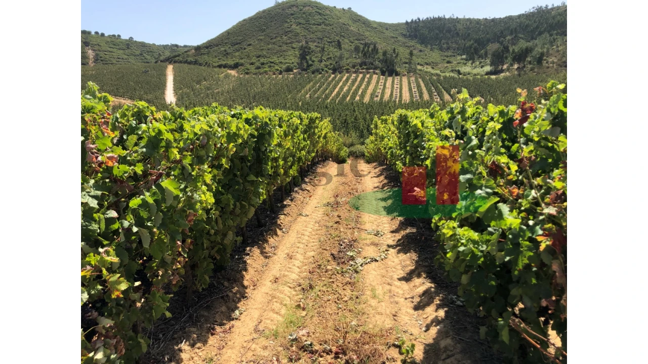 Terreno para Venda em Alcoentre Foto 2