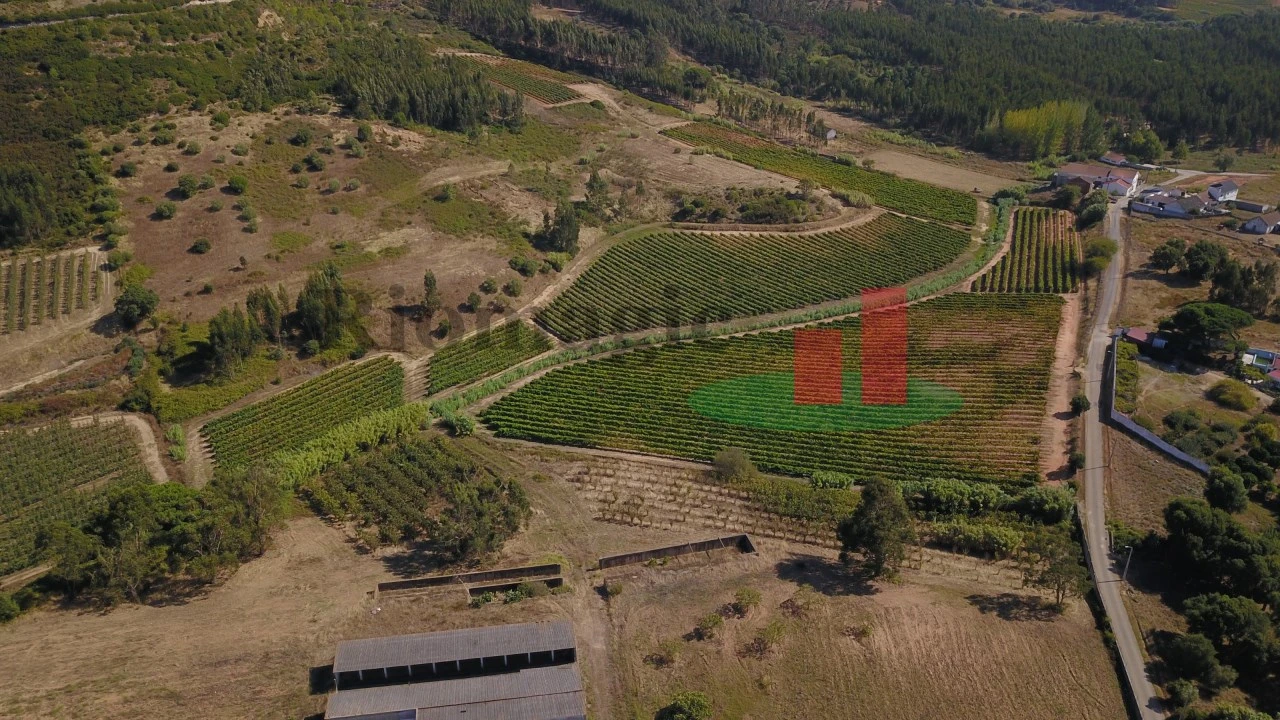 Terreno para Venda em Alcoentre Foto 10