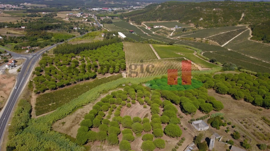 Terreno para Venda em Alcoentre Foto 4