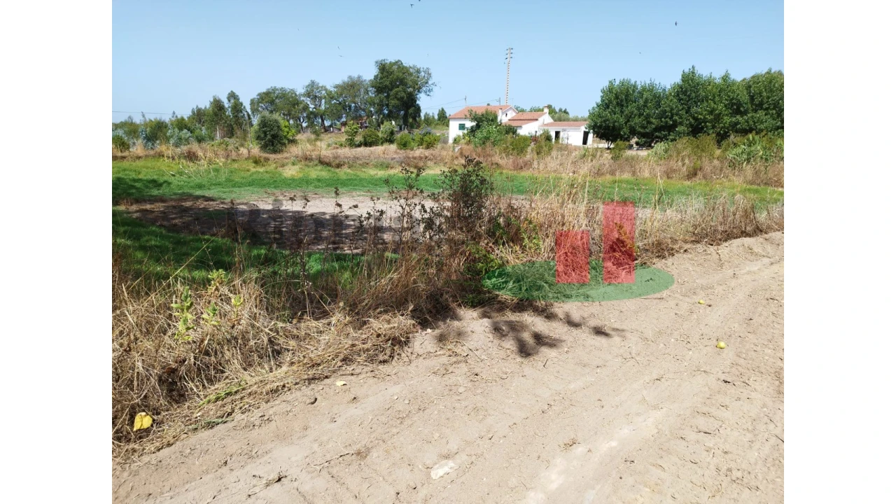 Quinta T2 para Venda em Rio Maior Foto 9