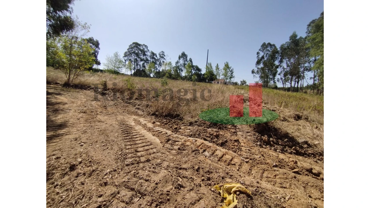 Quinta T2 para Venda em Rio Maior Foto 13