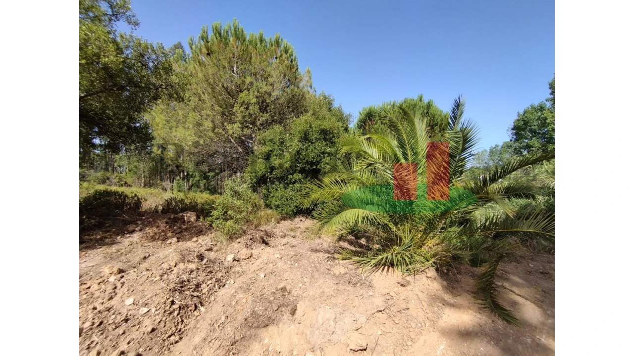 Quinta T2 para Venda em Rio Maior Foto 15