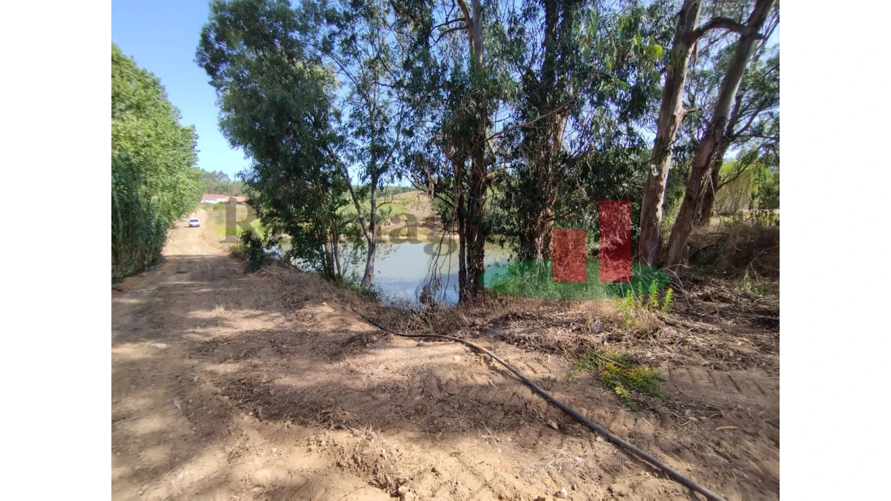 Quinta T2 para Venda em Rio Maior Foto 17