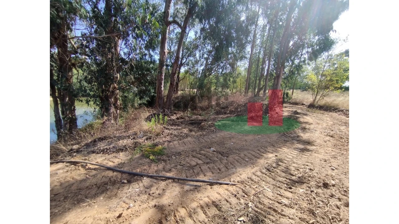 Quinta T2 para Venda em Rio Maior Foto 18