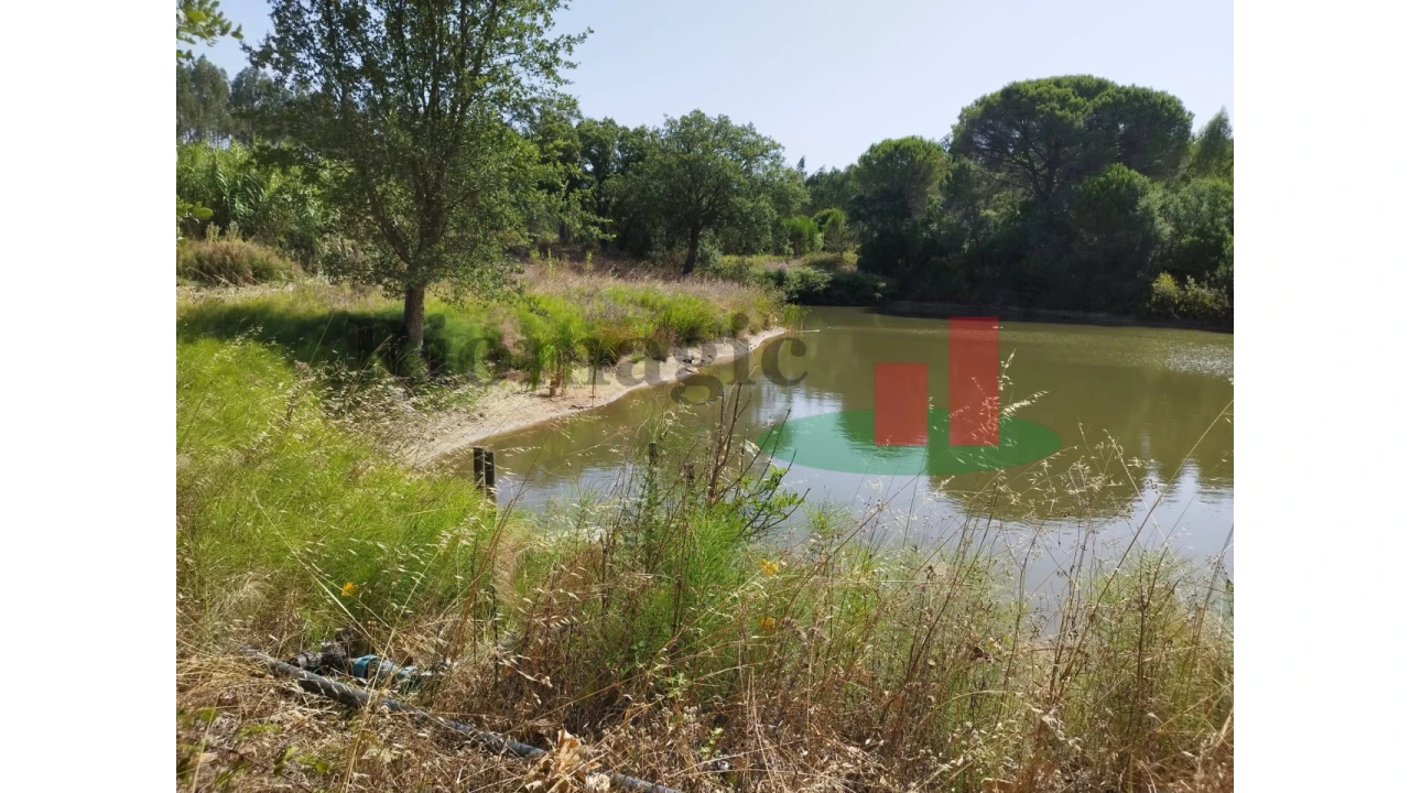 Quinta T2 para Venda em Rio Maior Foto 6