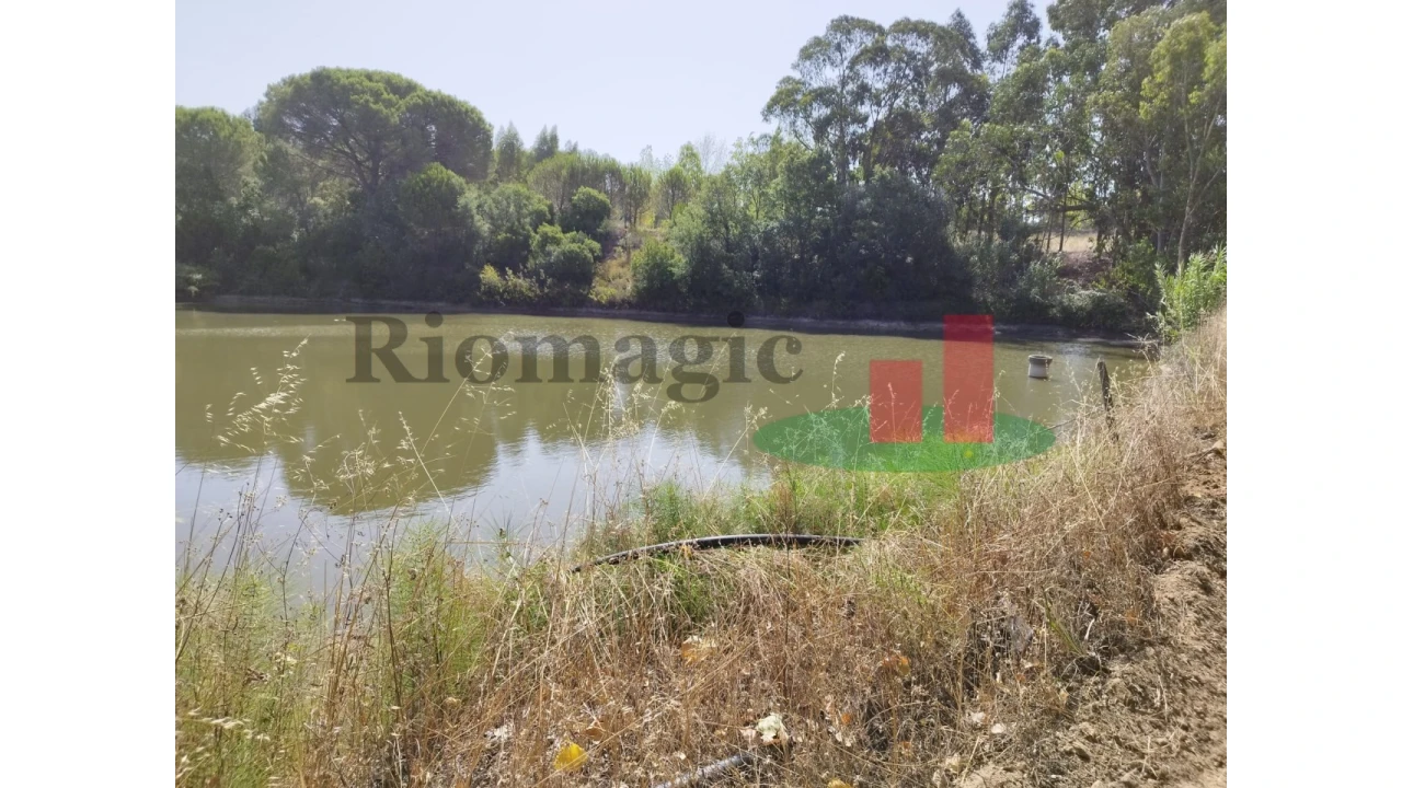 Quinta T2 para Venda em Rio Maior Foto 19