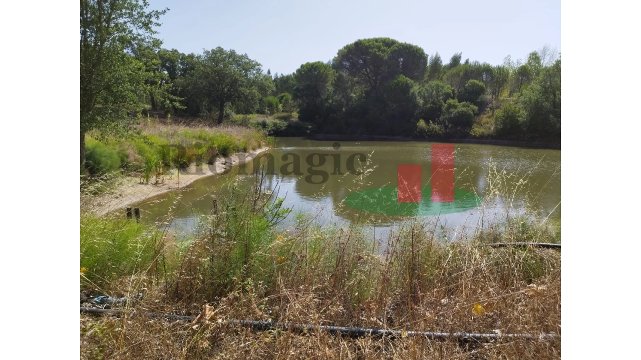 Quinta T2 para Venda em Rio Maior Foto 21