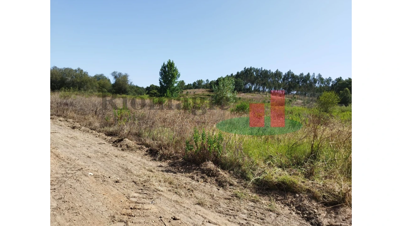 Quinta T2 para Venda em Rio Maior Foto 22