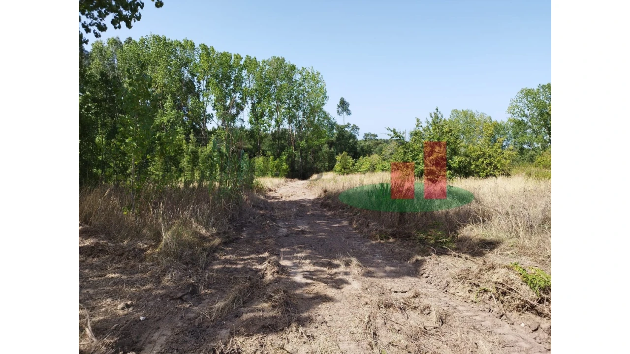 Quinta T2 para Venda em Rio Maior Foto 25