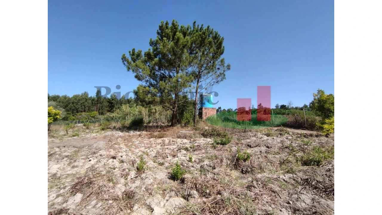 Quinta T2 para Venda em Rio Maior Foto 29