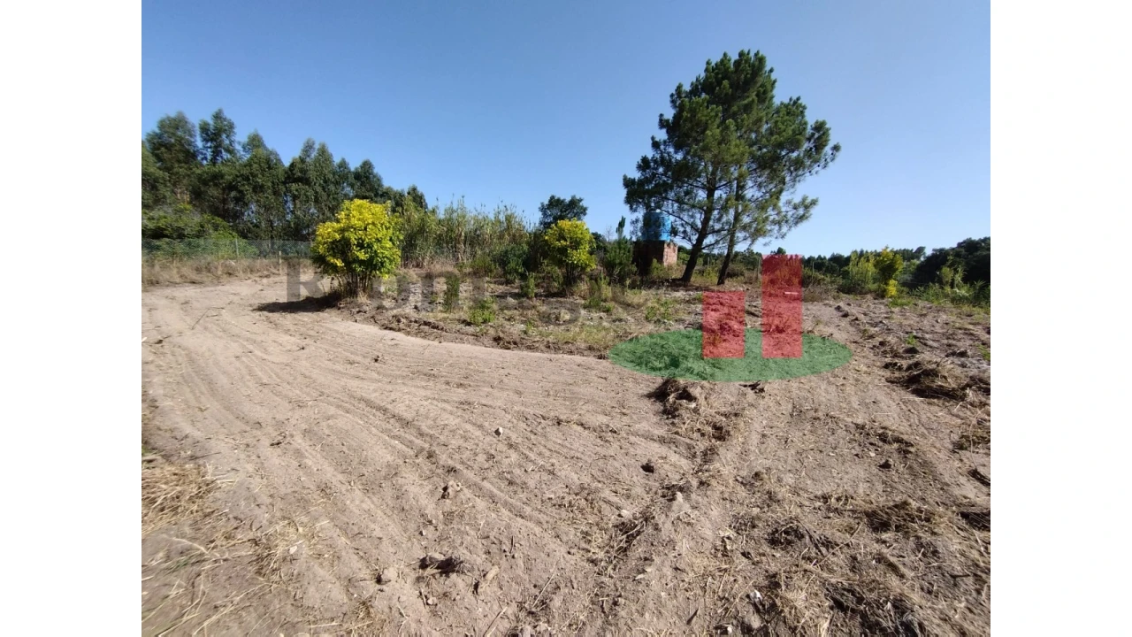 Quinta T2 para Venda em Rio Maior Foto 34