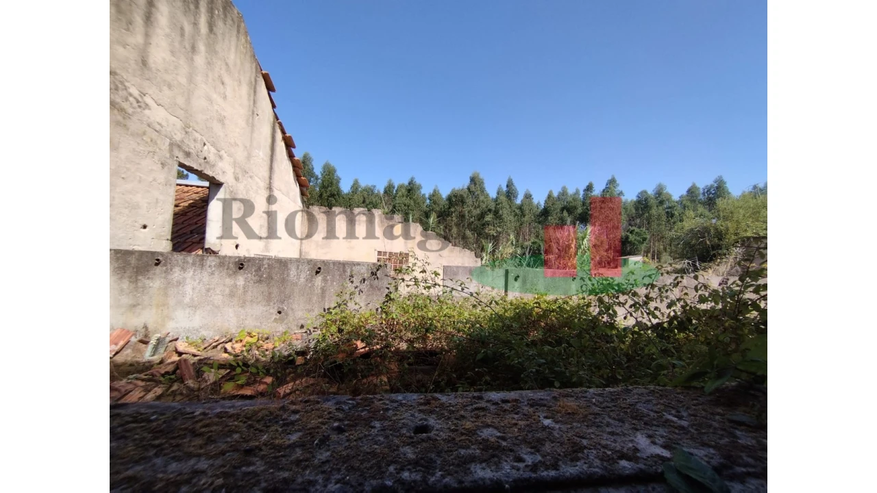 Quinta T2 para Venda em Rio Maior Foto 41