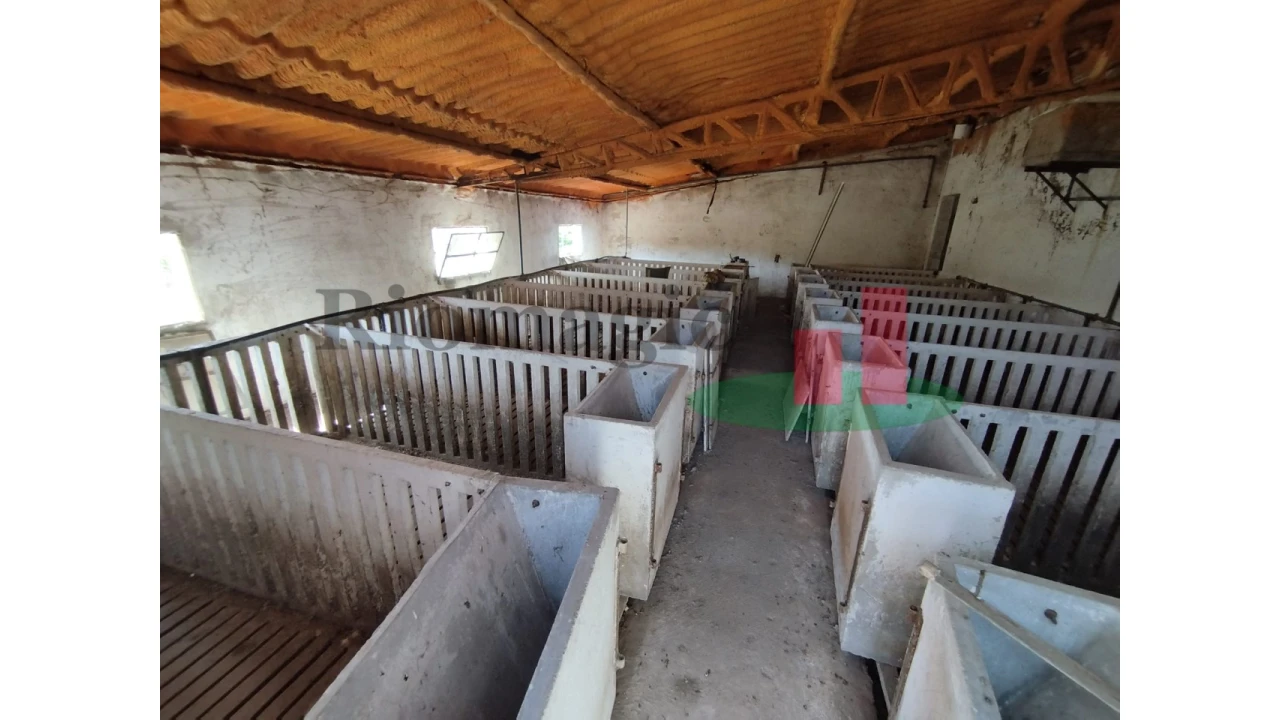 Quinta T2 para Venda em Rio Maior Foto 43