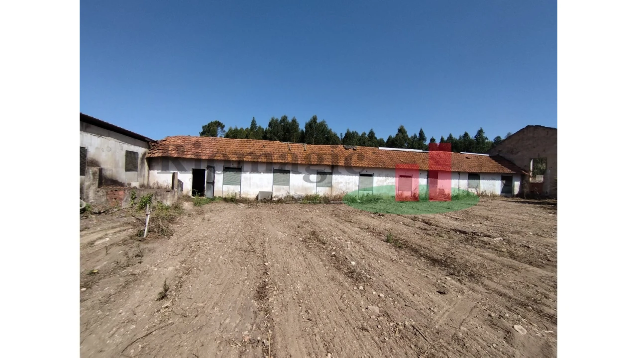 Quinta T2 para Venda em Rio Maior Foto 49