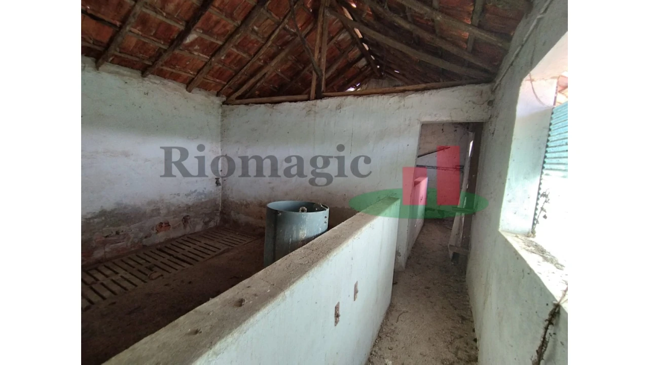 Quinta T2 para Venda em Rio Maior Foto 60