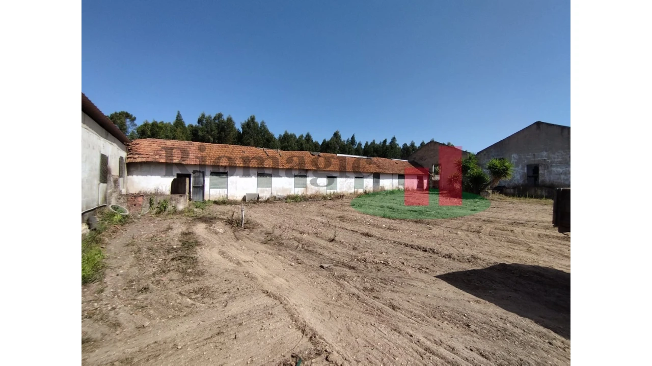 Quinta T2 para Venda em Rio Maior Foto 66