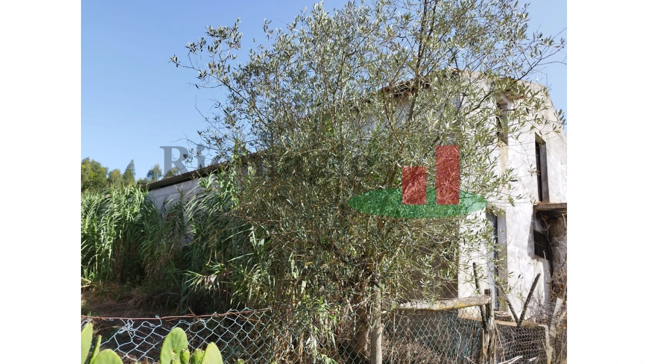 Quinta T2 para Venda em Rio Maior Foto 71