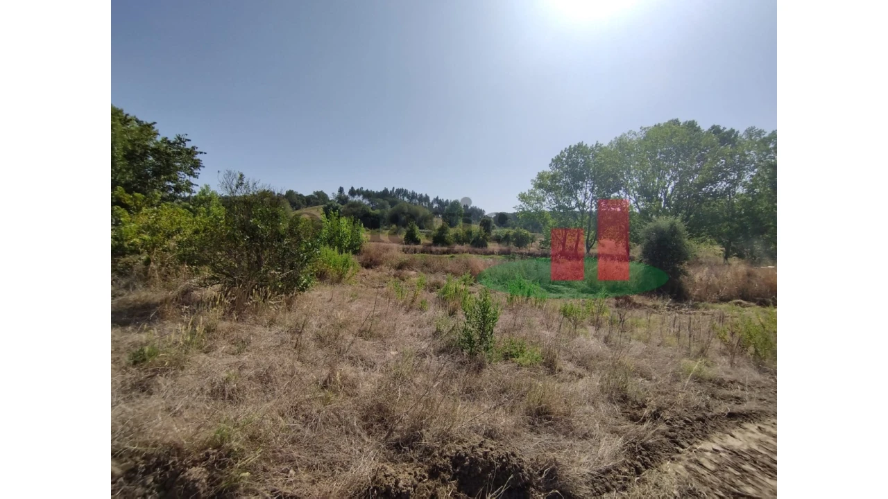 Quinta T2 para Venda em Rio Maior Foto 73