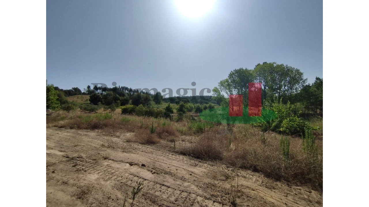 Quinta T2 para Venda em Rio Maior Foto 76