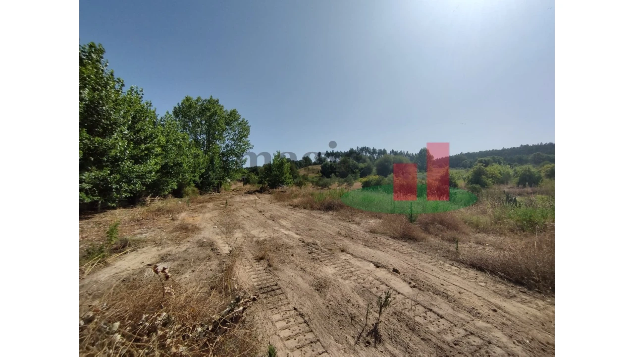 Quinta T2 para Venda em Rio Maior Foto 77