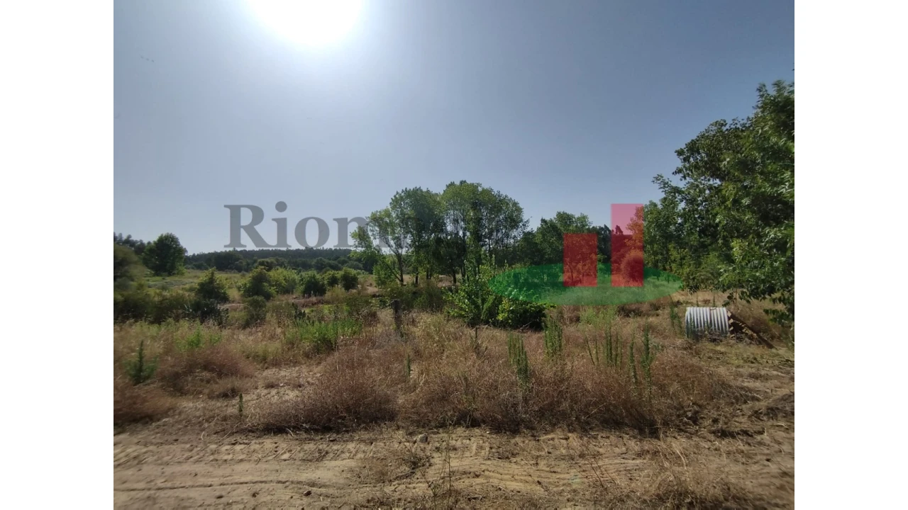 Quinta T2 para Venda em Rio Maior Foto 78