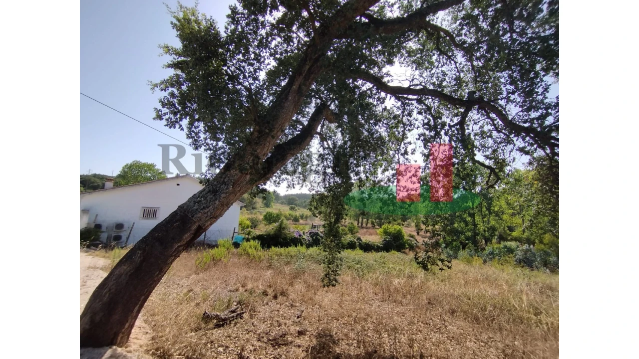 Quinta T2 para Venda em Rio Maior Foto 117