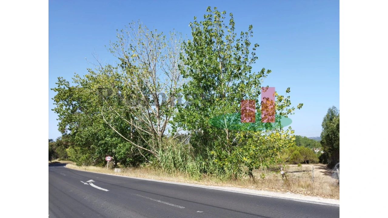 Quinta T2 para Venda em Rio Maior Foto 122