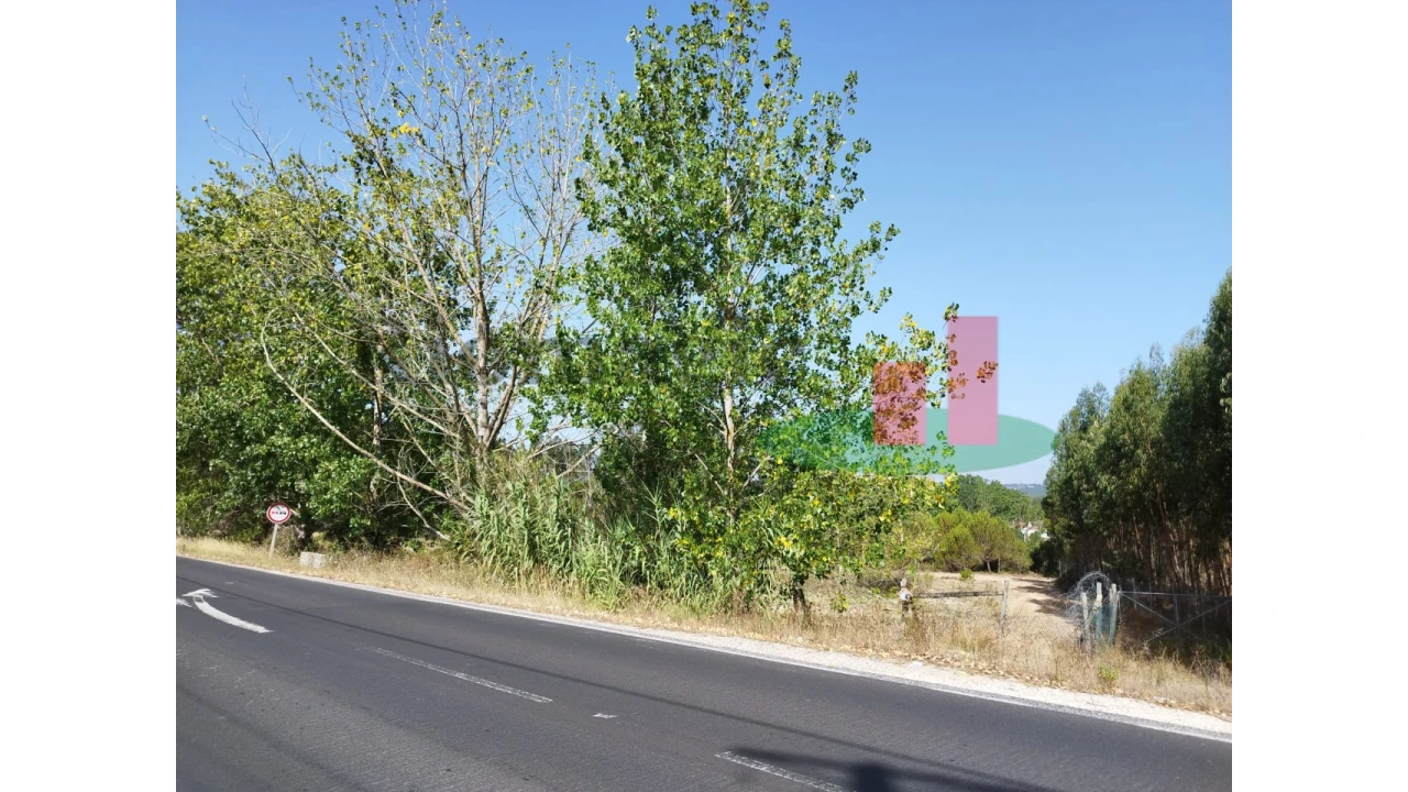 Quinta T2 para Venda em Rio Maior Foto 123