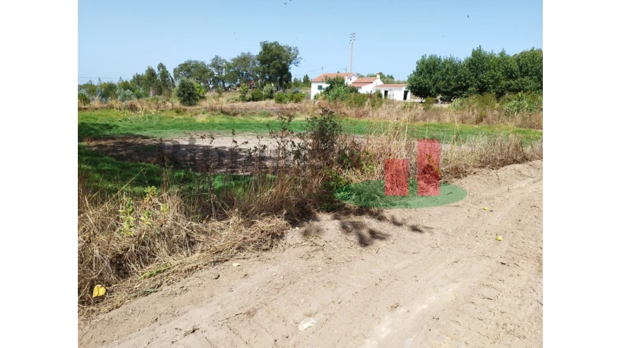 Quinta T2 para Venda em Rio Maior Foto 9