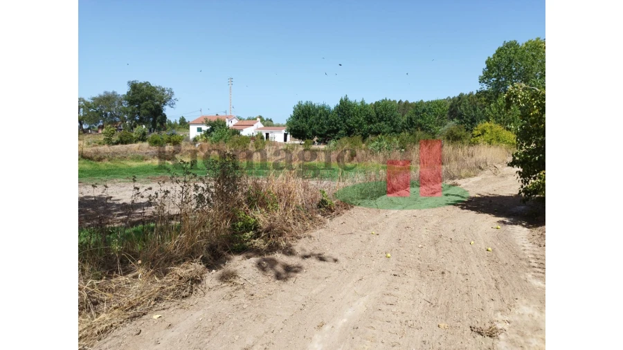 Quinta T2 para Venda em Rio Maior Foto 11