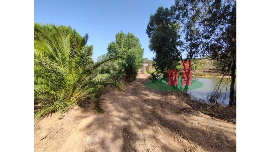 Quinta T2 para Venda em Rio Maior Foto 16