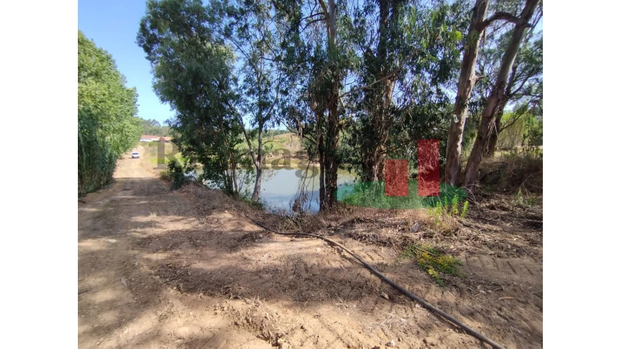 Quinta T2 para Venda em Rio Maior Foto 17