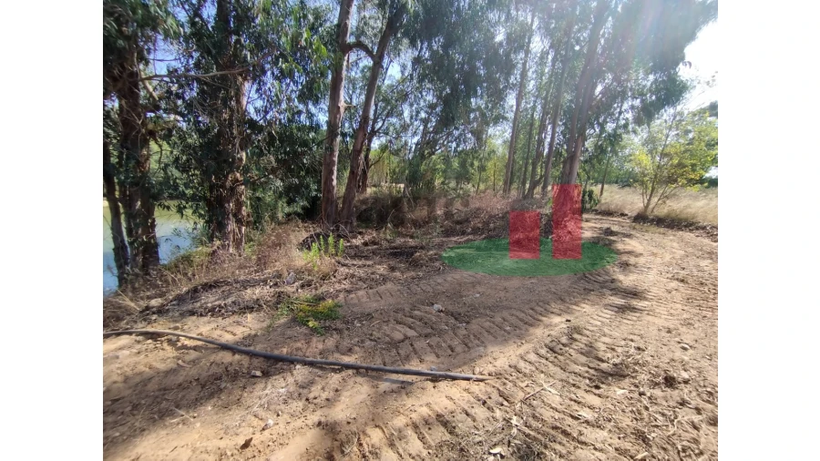Quinta T2 para Venda em Rio Maior Foto 18