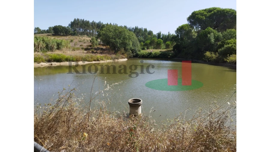 Quinta T2 para Venda em Rio Maior Foto 20