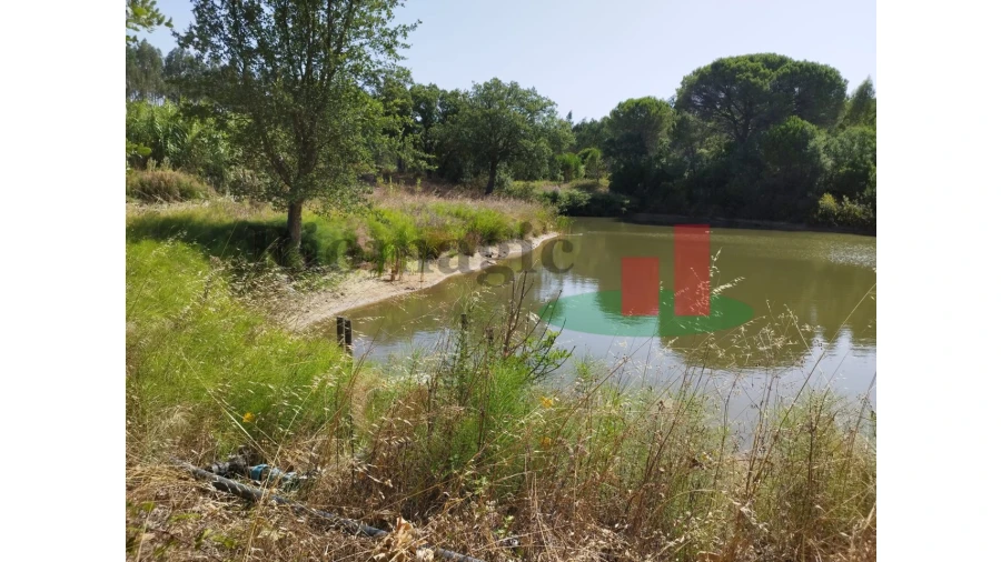 Quinta T2 para Venda em Rio Maior Foto 6