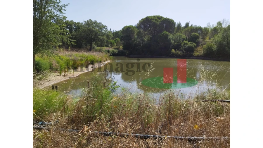 Quinta T2 para Venda em Rio Maior Foto 21