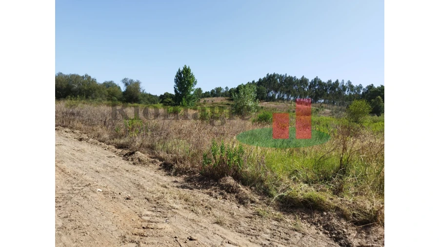 Quinta T2 para Venda em Rio Maior Foto 22