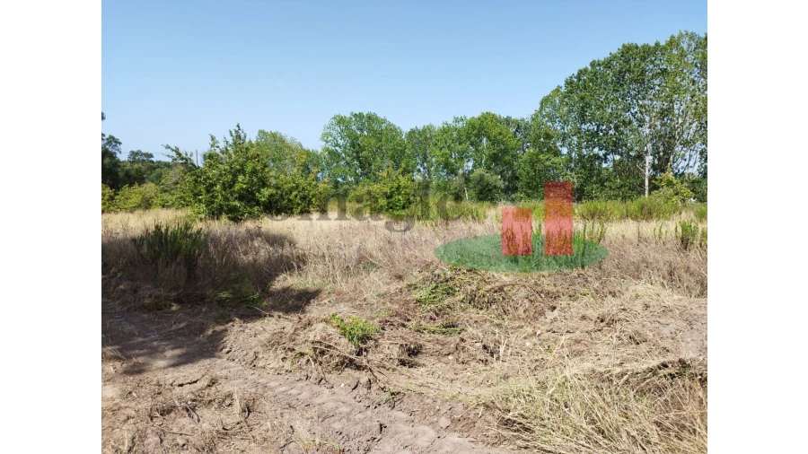 Quinta T2 para Venda em Rio Maior Foto 24