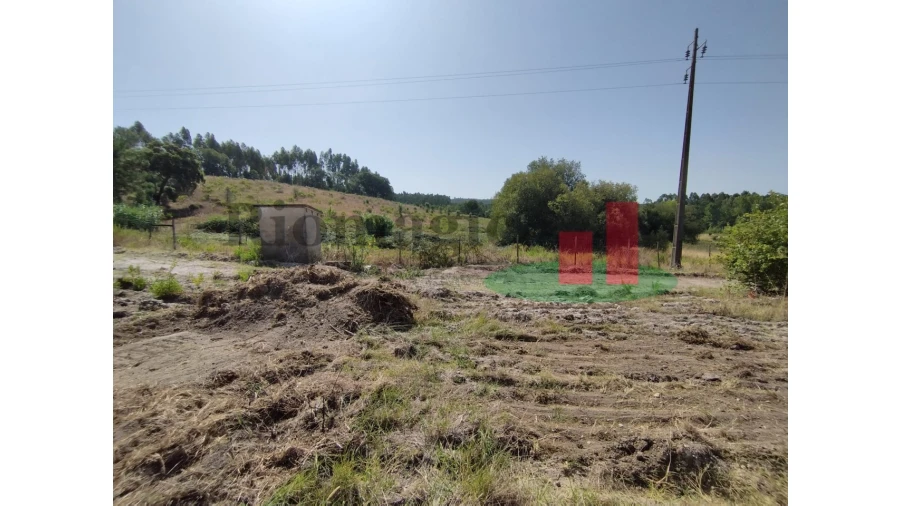 Quinta T2 para Venda em Rio Maior Foto 32