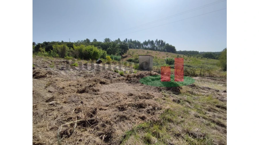 Quinta T2 para Venda em Rio Maior Foto 33