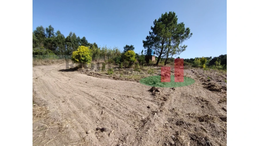 Quinta T2 para Venda em Rio Maior Foto 34