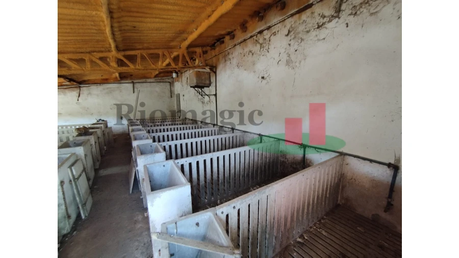 Quinta T2 para Venda em Rio Maior Foto 44